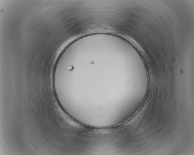 X0000071771246200607282205