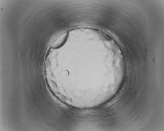 X0000071771247200607282205