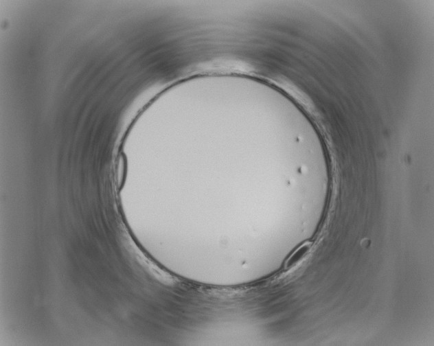 X0000071771248200607282205