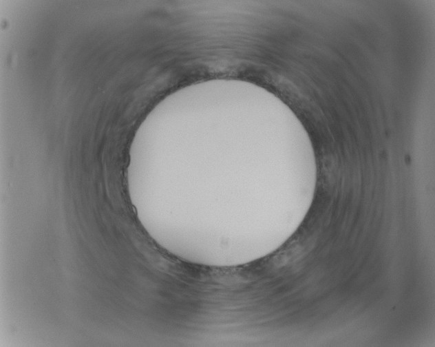 X0000071771249200607282204