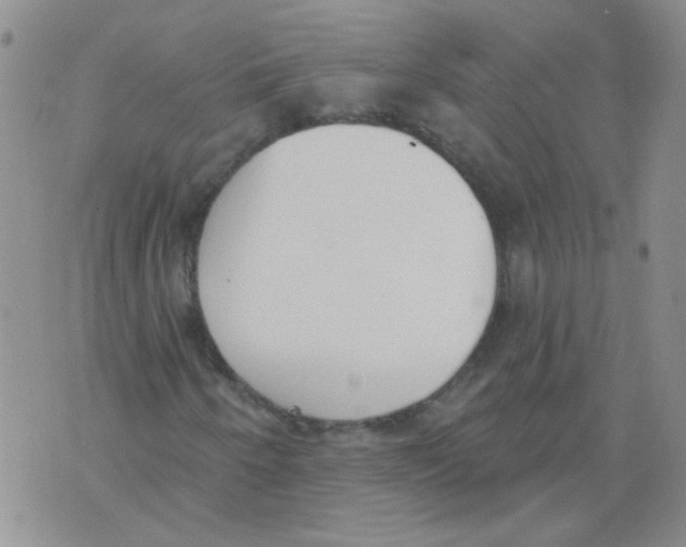 X0000071771250200607282204