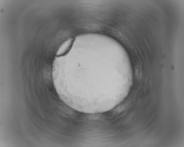 X0000071771251200607282204