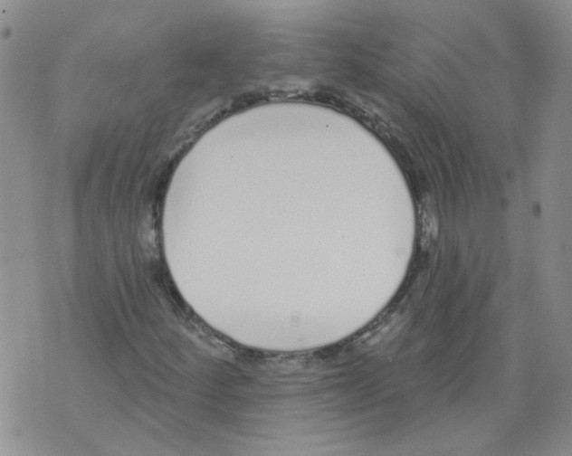 X0000071771252200607282204