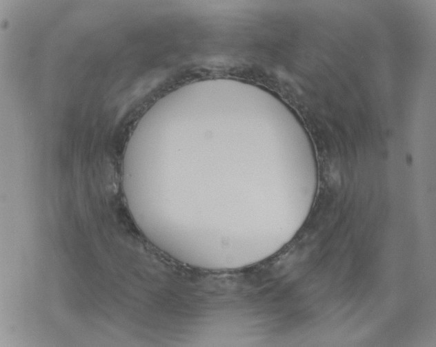 X0000071771253200607282204