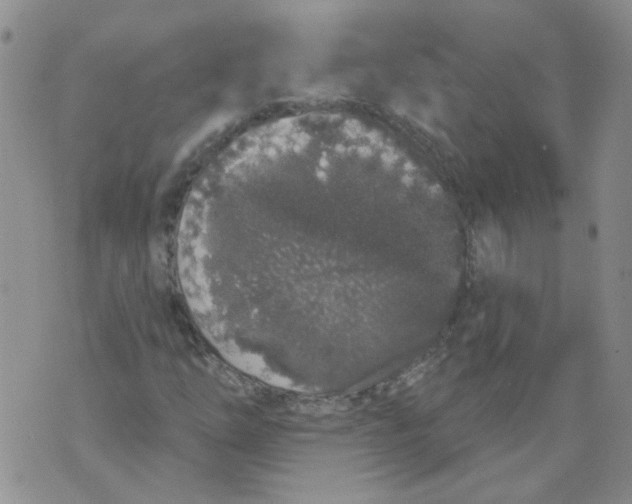 X0000071771254200607282204