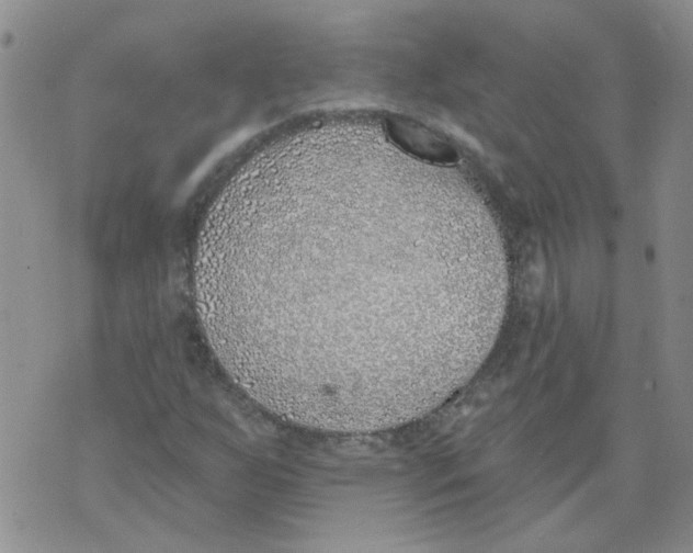 X0000071771255200607282204