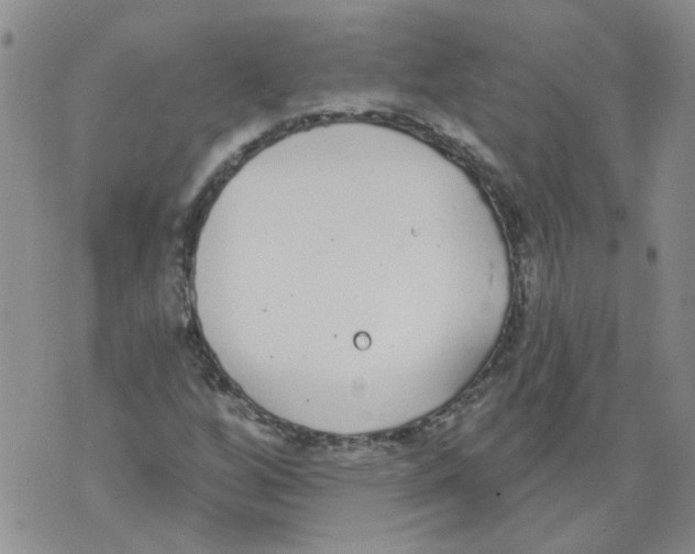 X0000071771256200607282204