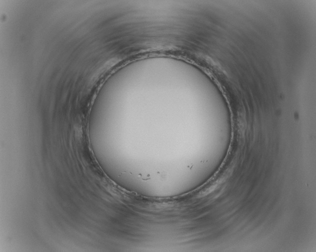 X0000071771257200607282204