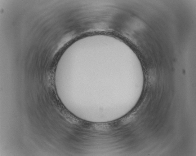 X0000071771258200607282204