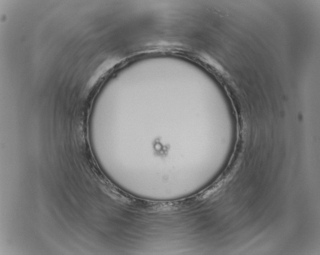 X0000071771259200607282204