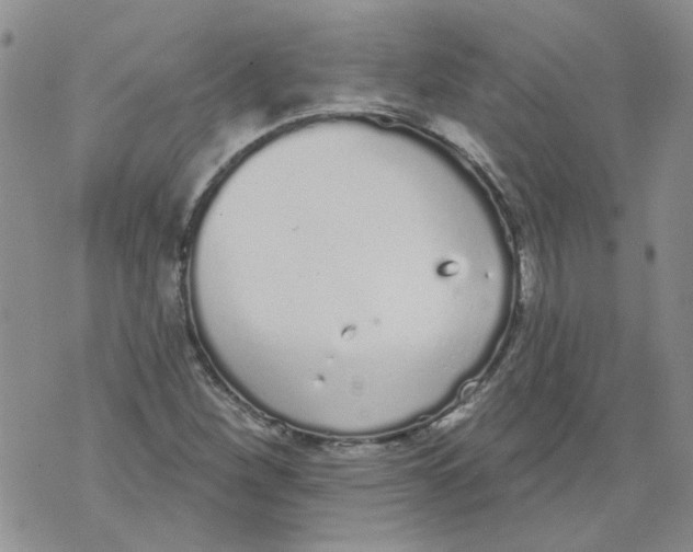 X0000071771260200607282204