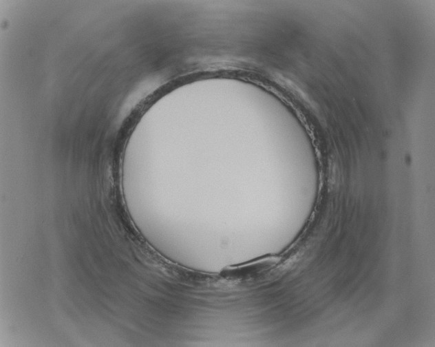 X0000071771261200607282204