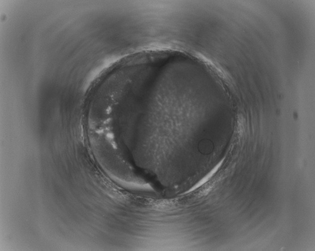 X0000071771262200607282204