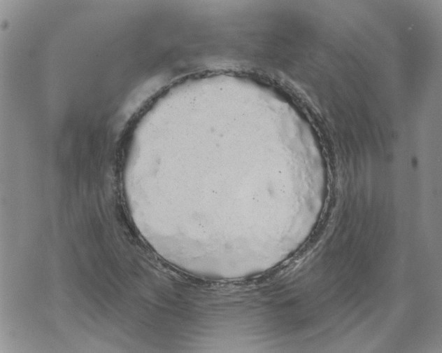 X0000071771263200607282204