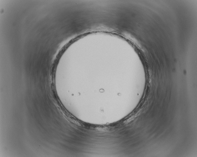 X0000071771264200607282204