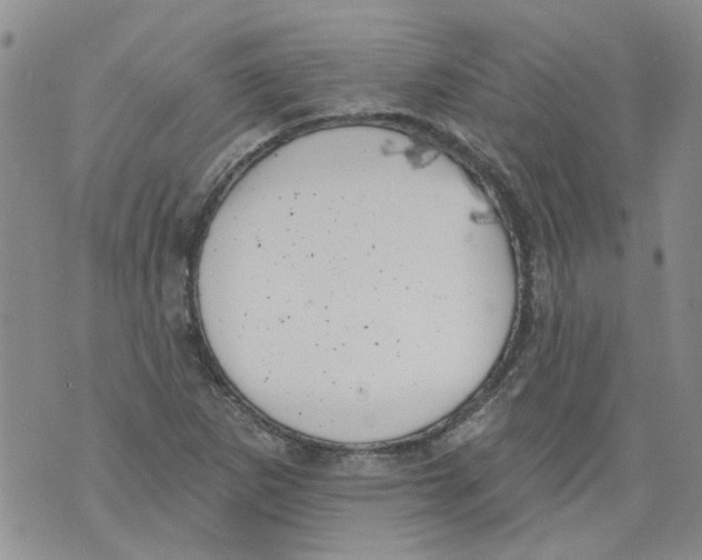 X0000071771265200607282204