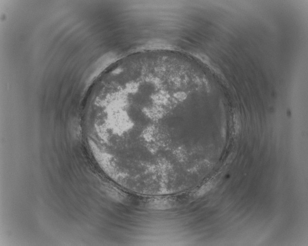 X0000071771266200607282204