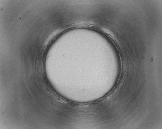 X0000071771267200607282204