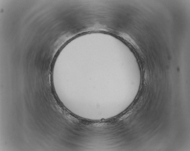 X0000071771268200607282204