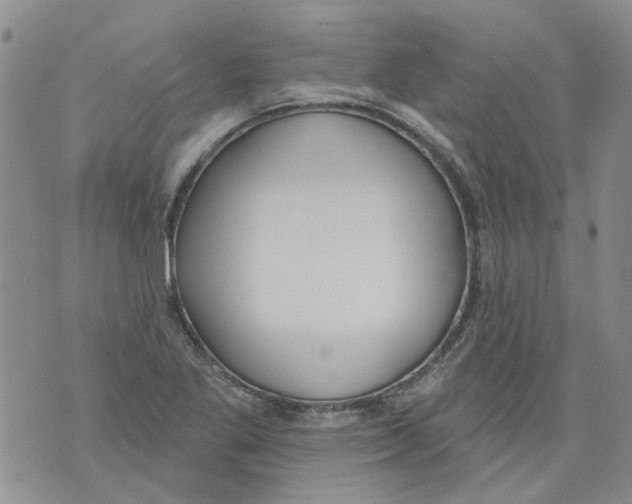 X0000071771269200607282204