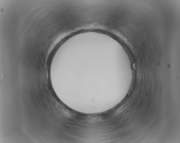 X0000071771270200607282204