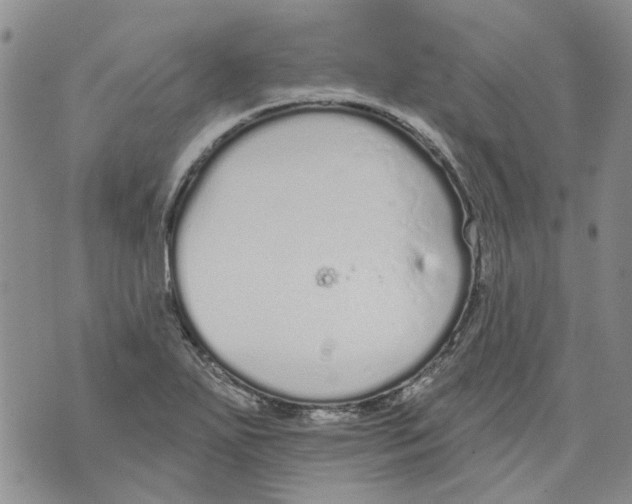 X0000071771271200607282204