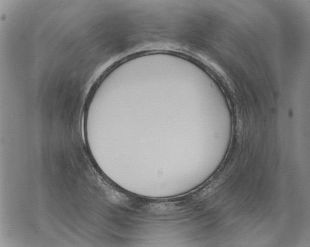 X0000071771272200607282204