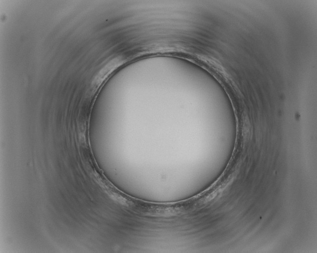 X0000071771273200607282204