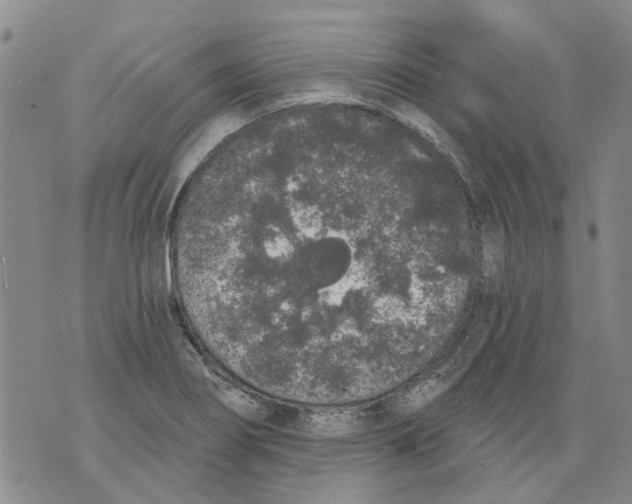 X0000071771274200607282204