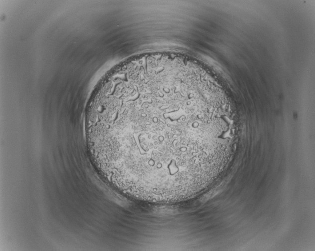 X0000071771275200607282204