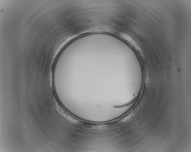 X0000071771276200607282204