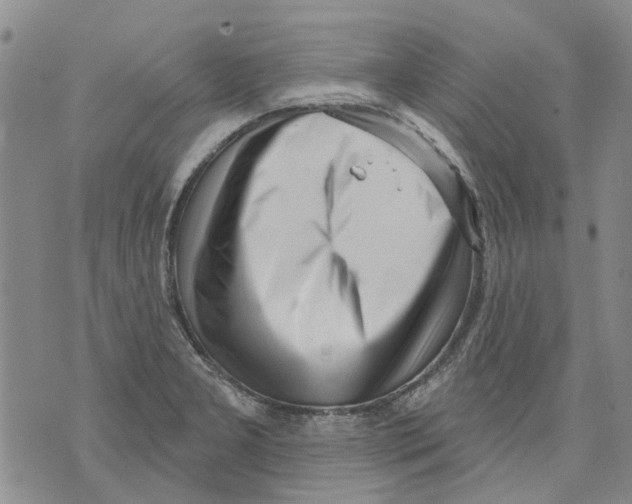 X0000071771277200607282204