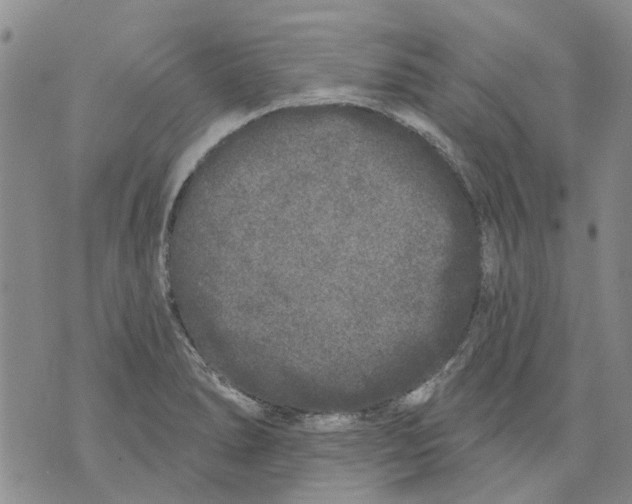 X0000071771278200607282204