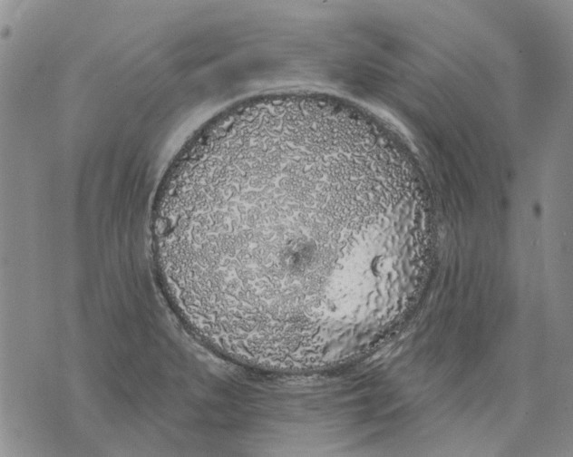 X0000071771279200607282204