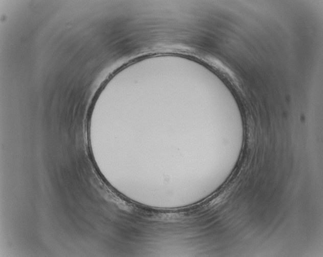 X0000071771280200607282204