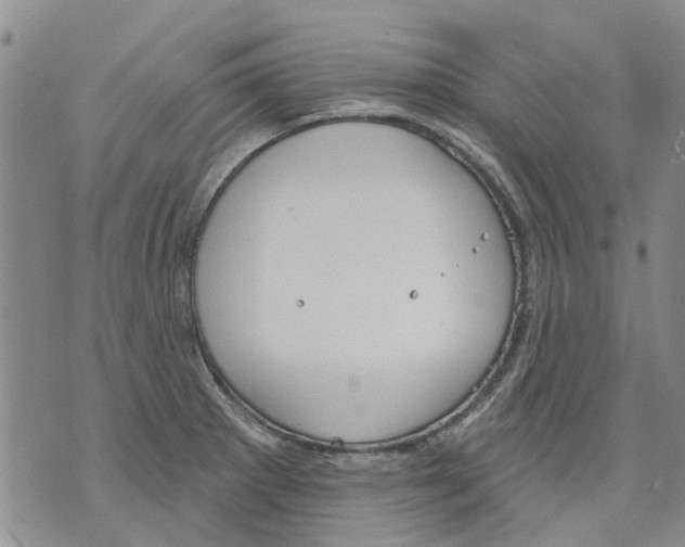 X0000071771281200607282204