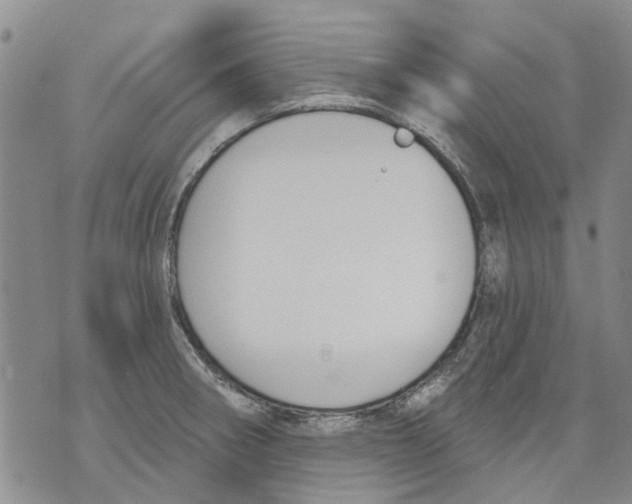 X0000071771282200607282204