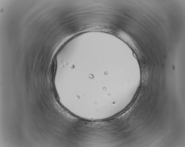 X0000071771284200607282204