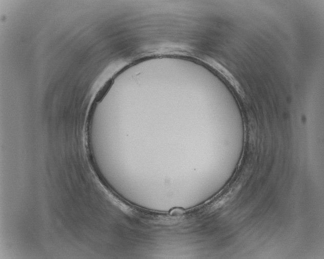 X0000071771285200607282204