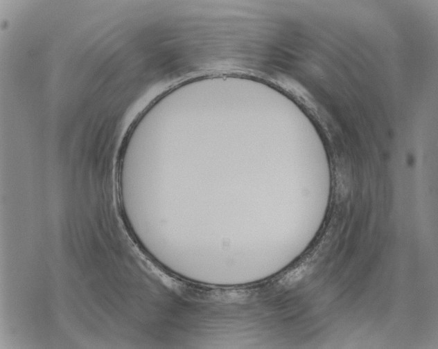 X0000071771286200607282204