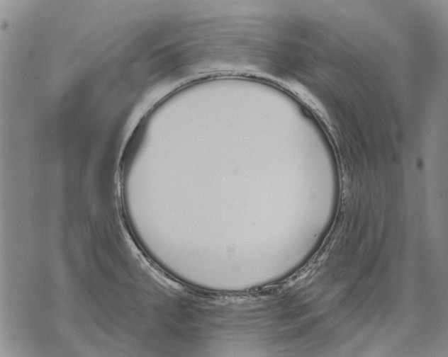 X0000071771287200607282204