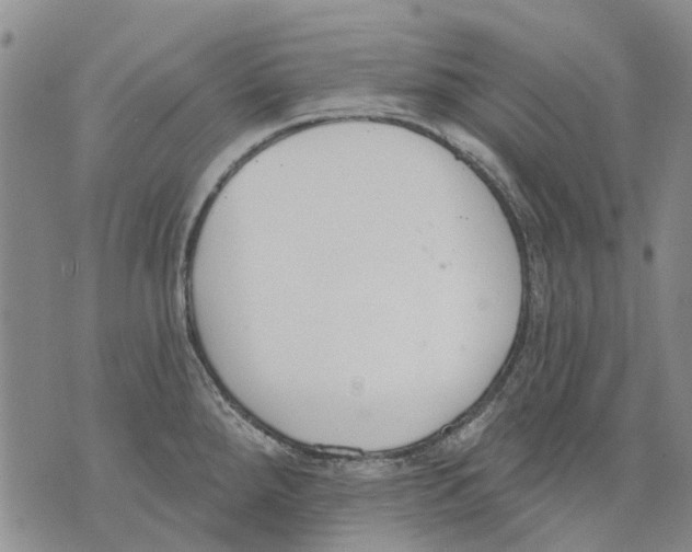 X0000071771288200607282204