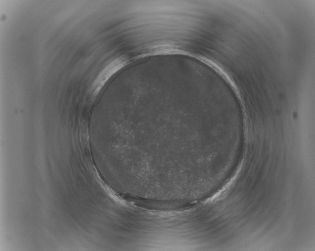 X0000071771289200607282204