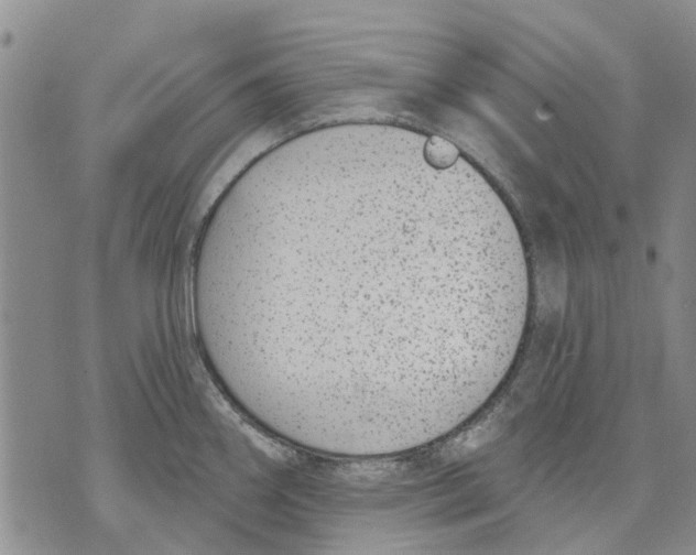 X0000071771290200607282204