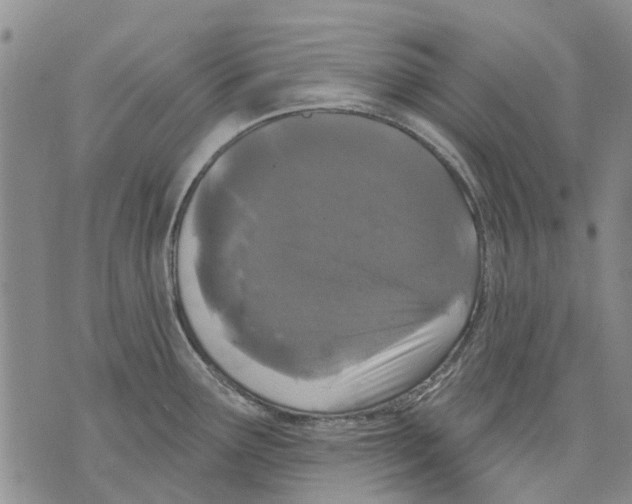 X0000071771291200607282204