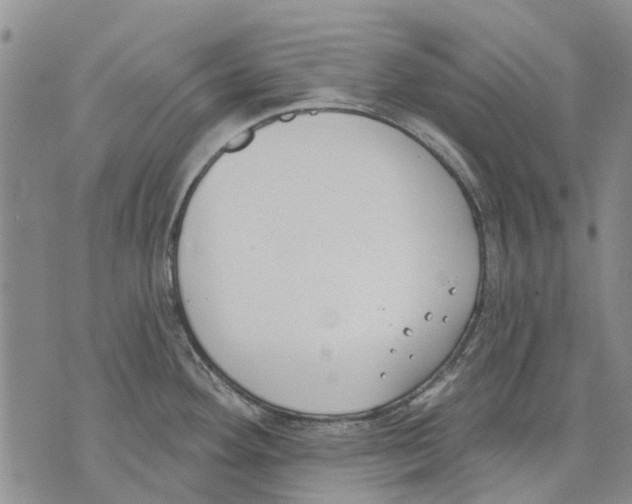 X0000071771292200607282204