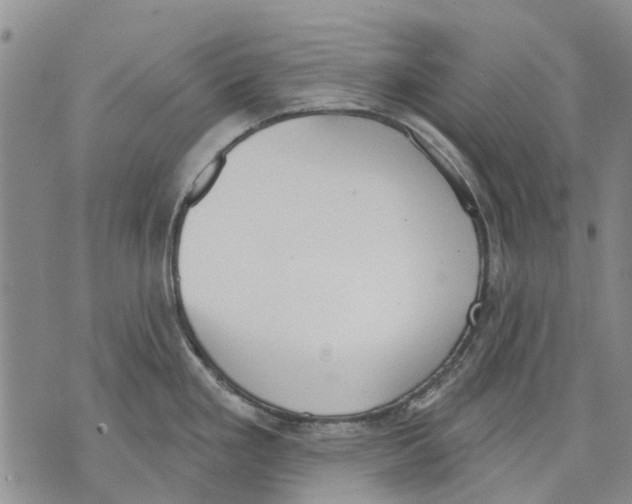 X0000071771293200607282204