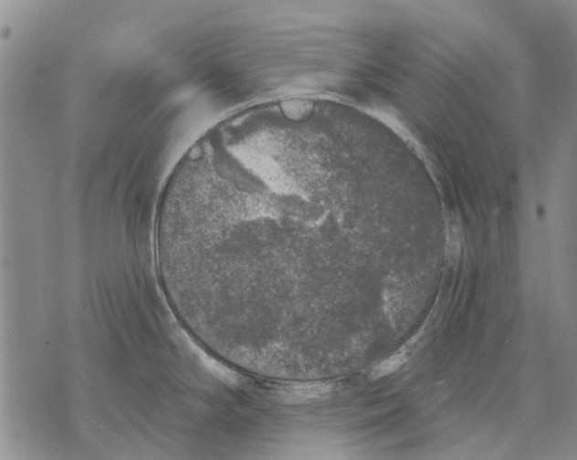 X0000071771294200607282204