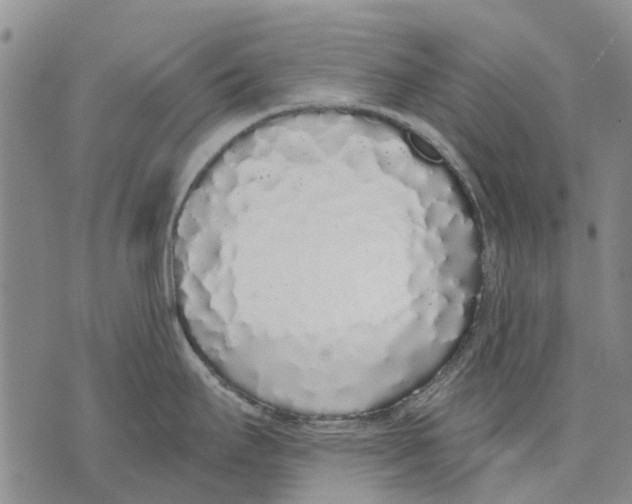 X0000071771295200607282204