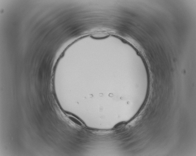 X0000071771296200607282204